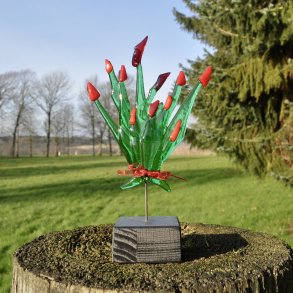 Blomster